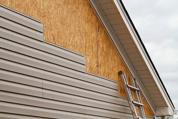 Professional Vinyl Siding technician working in Roxbury, MA